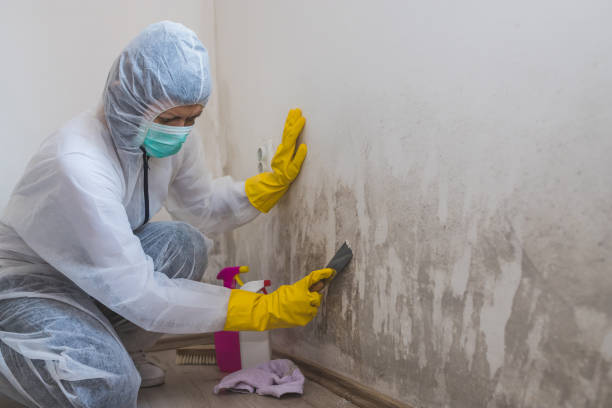 Forensic Mold Investigation in Lewisburg, KY