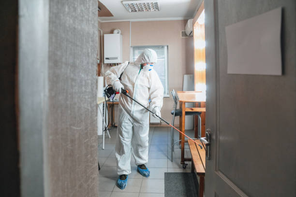 Best Mold Documentation for Insurance Claims  in Lewisburg, KY