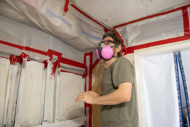 Best Air Quality Testing for Mold Spores  in Lewisburg, KY