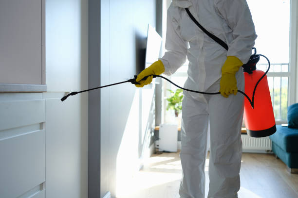 Reliable Lewisburg, KY Mold Removal Solutions