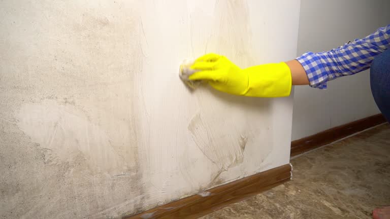 Best Emergency Mold Remediation  in Lewisburg, KY