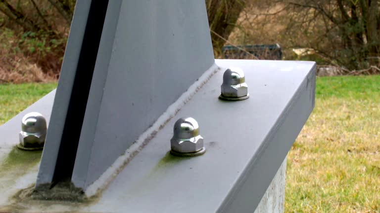Best Real Estate Mold Inspection  in Lewisburg, KY